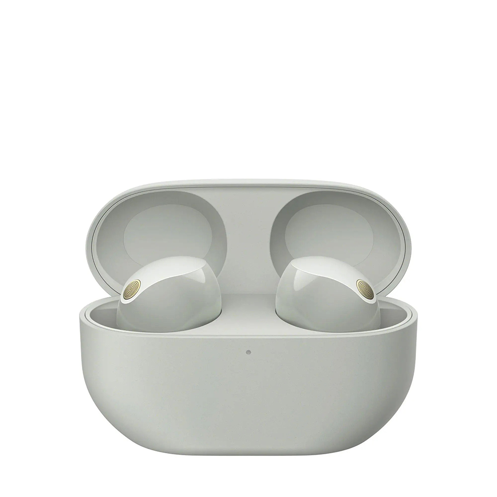 SONY BT slušalice WF1000XM5S.CE7 sive