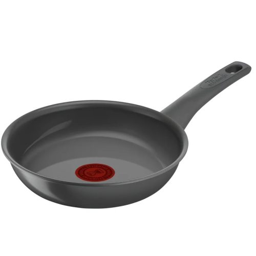 TEFAL Renewal tava 24 cm [C4260443]