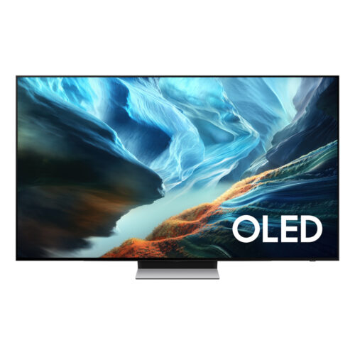 SAMSUNG TV QE65S90HAEXXH OLED